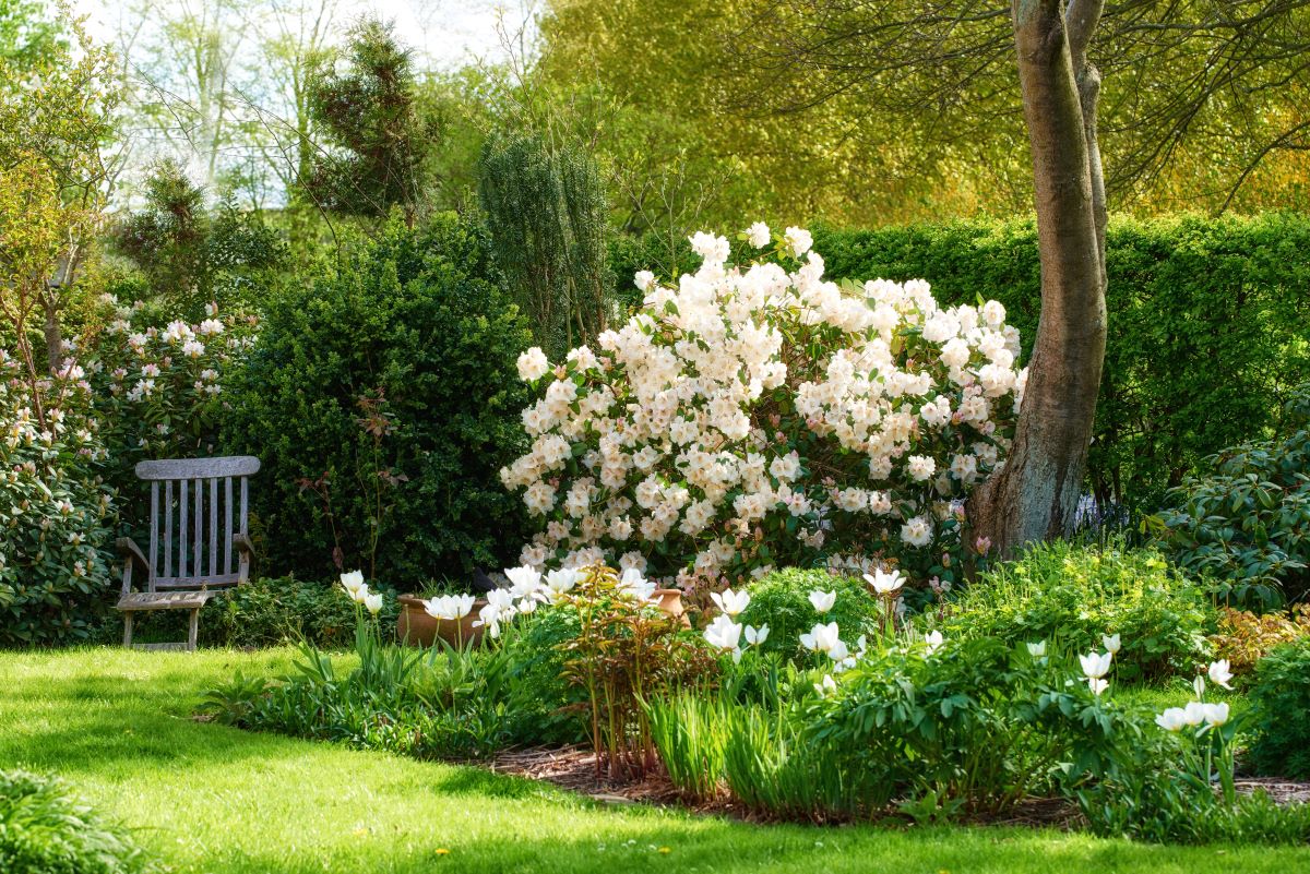 Ruhe im eigenen Garten – der perfekte Rückzugsort in Lüchow-