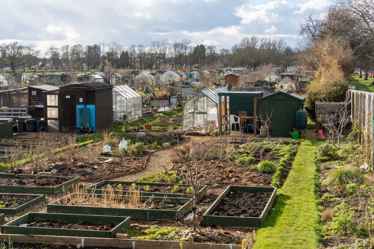 Schrebergarten in Lüchow-Dannenberg: Pacht, Regeln und prakt